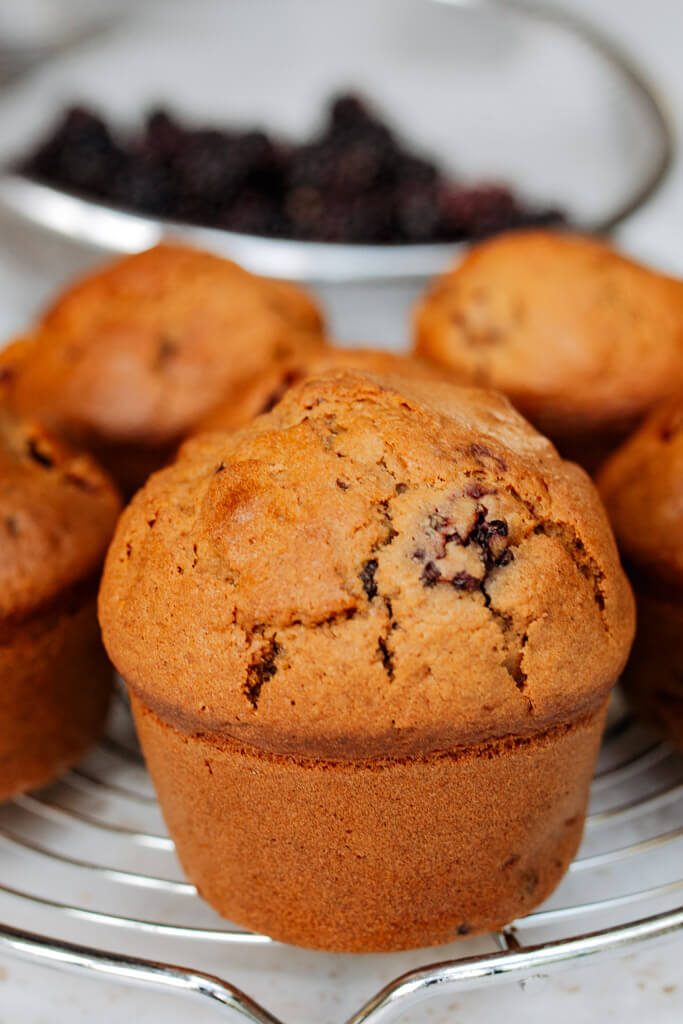 muffin-recept